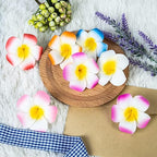 Hawaiian Flower Hair Clips 24 Pack