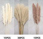Dried Pampas Grass Bouquet 60 Pcs