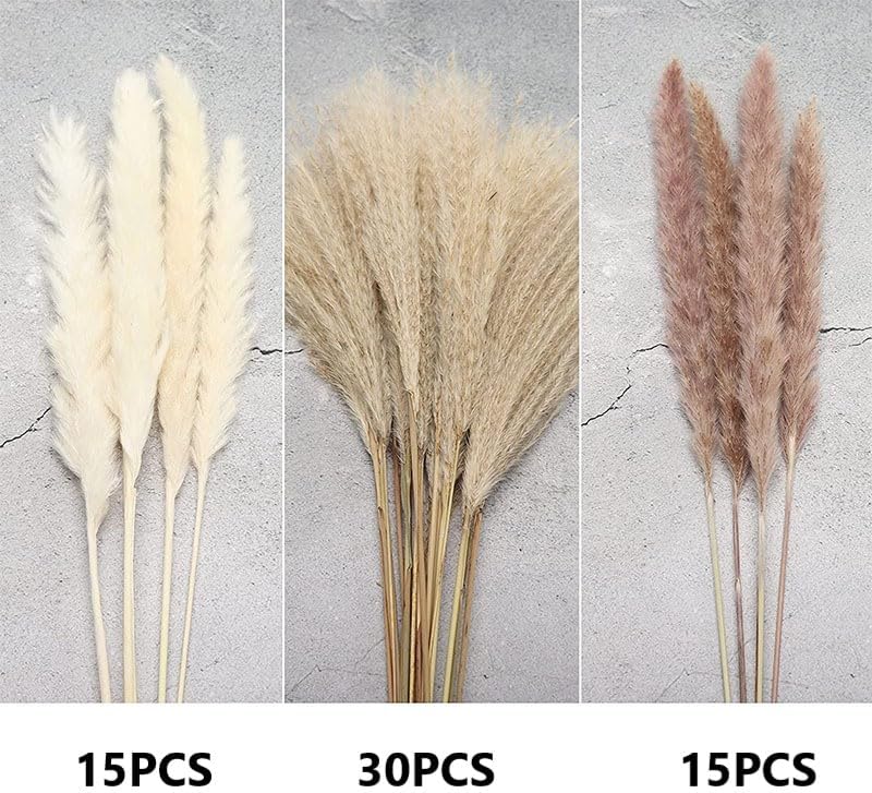 Dried Pampas Grass Bouquet 60 Pcs