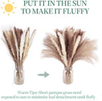 Dried Pampas Grass Bouquet 60 Pcs