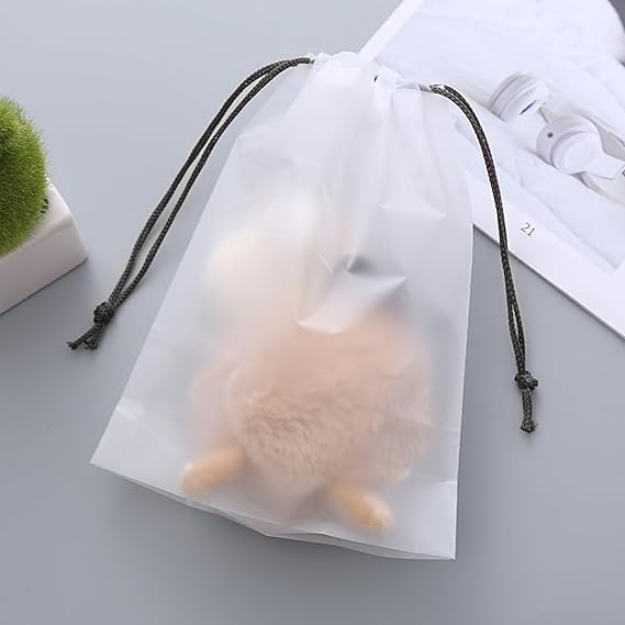Shoe Storage Bags for Travel & Home 12 Pcs