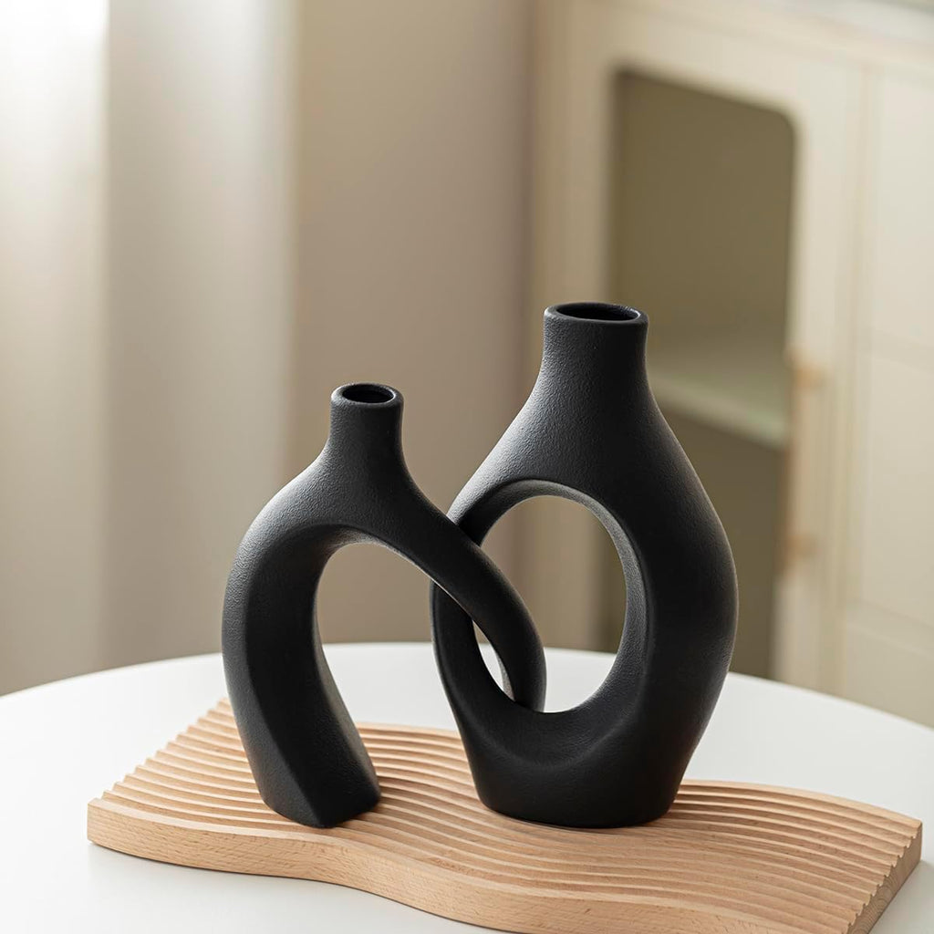 Modern Flower Vase for Home Decor 2 Pcs