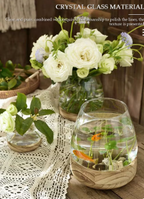 Modern Clear Glass Vase for Flowers