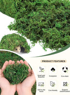 Artificial Moss Fake Green Grass
