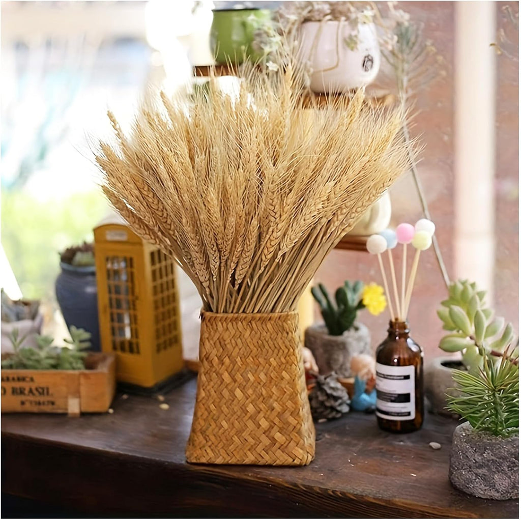 Natural Dried Wheat Flowers (100 Stems)