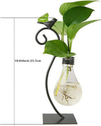 Modern Creative Bird Plant Terrarium Stand