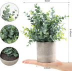 Artificial Plants Online UAE