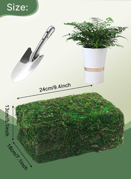 Fake Grass Online UAE