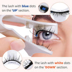 Magnetic lashes online UAE