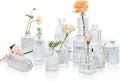 Mini Decorative Glass Vases 12 Pack 