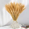 Natural Dried Wheat Flowers (100 Stems) 