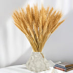 Natural Dried Wheat Flowers (100 Stems) 