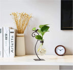 Plant Stands Online UAE