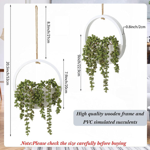 Plants  Decor UAE